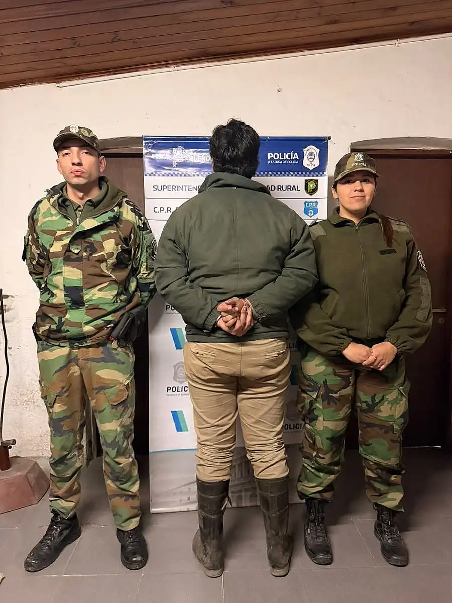 Un detenido por el robo de ovejas en Rauch y Ayacucho