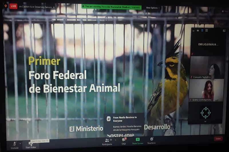 Granja los Pibes participo del primer Foro Federal de Bienestar Animal