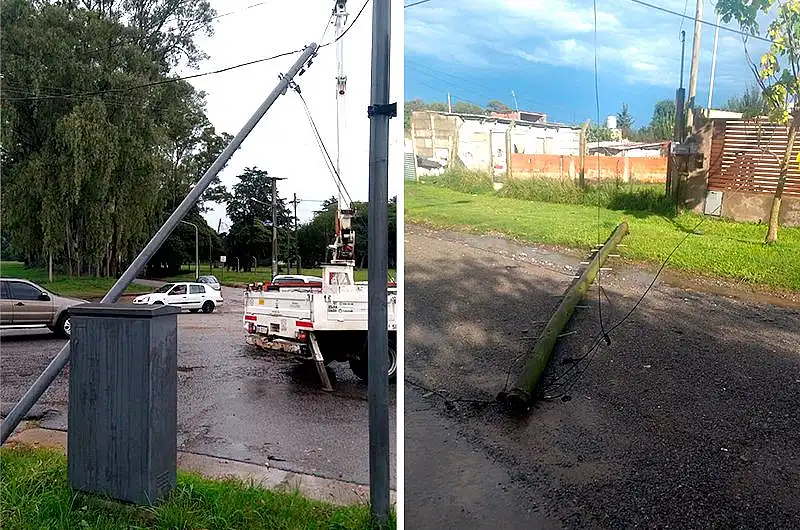 Voladuras de techos y árboles caídos: las consecuencias del temporal
