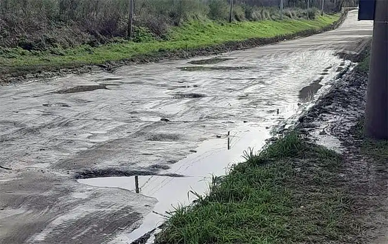Vecino de Movediza denuncia el mal estado de la Calle Azucena