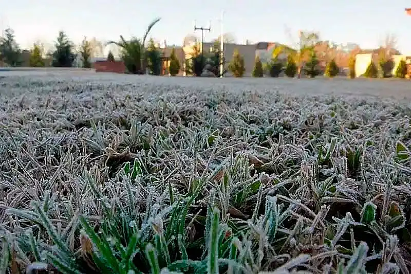 ​​​​​​​Tandil quedó entre las ciudades de sensación térmica bajo cero