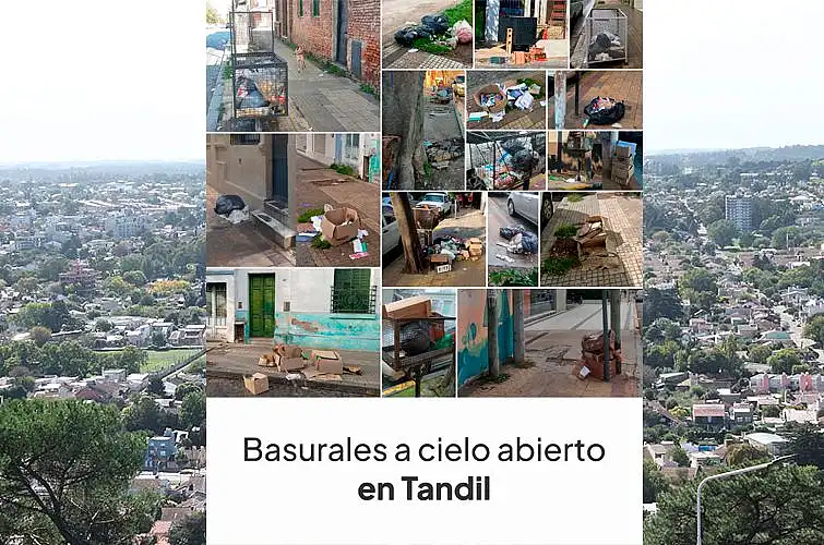 Basura en las calles: “Tandil merece recuperar el orden y la limpieza que la ...