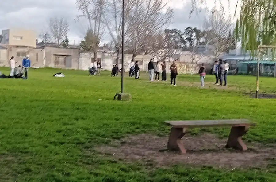 La plaza de O’Higgins y Brandsen suma plantas nativas e inclusión