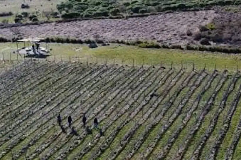 Asamblea General Ordinaria de los “Productores Vitivinícolas de Tandil”