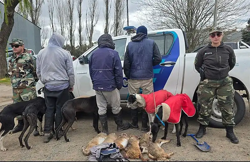 Tres aprehendidos por caza furtiva en la zona rural de Tandil