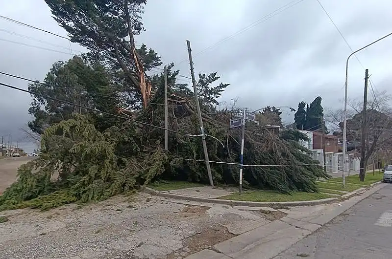 dos El fuerte viento provoca daños y cortes de luz en Tandil