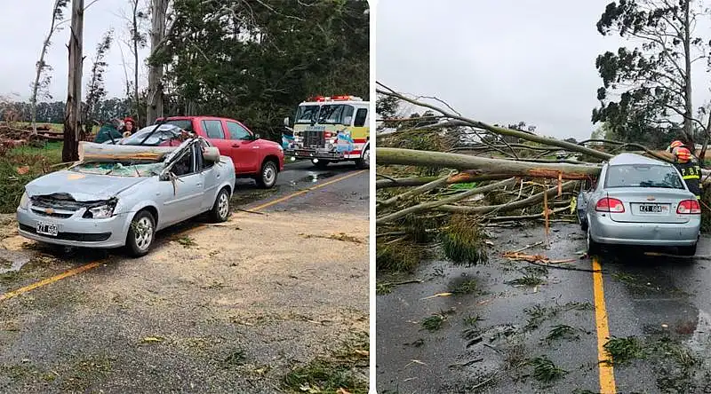 Un auto chocó contra un árbol caído sobre la Ruta 74
