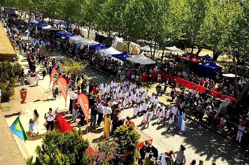 Vela celebrará su 142° aniversario con un desfile tradicional, espectáculos y ...