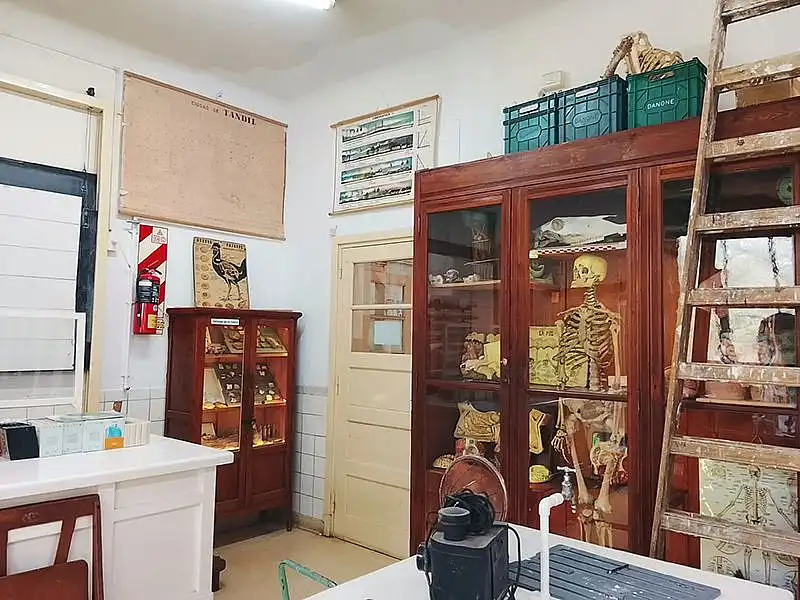 Ciencia con memoria: la Escuela Normal abre su laboratorio histórico como un museo vivo