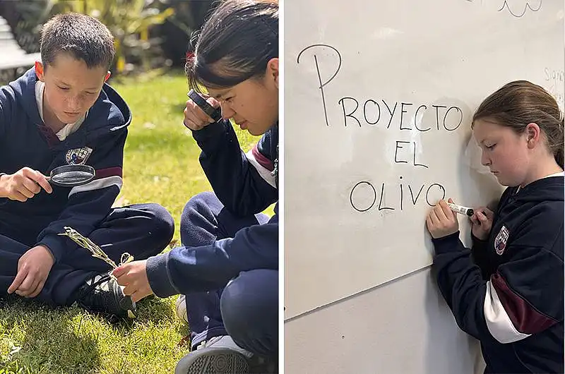 Dos colegios de Tandil participarán de un congreso educativo nacional