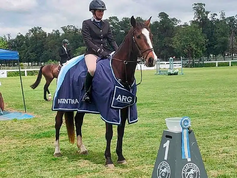 Rosario Funaro Elcarte, campeona nacional de Prueba Completa en equitación