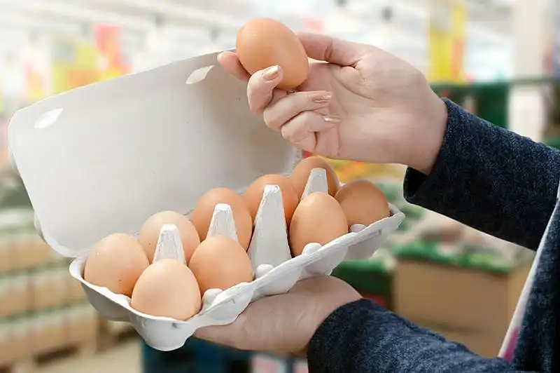 dos Presentaron en el Congreso un proyecto para que los consumidores sepan cómo se producen ...
