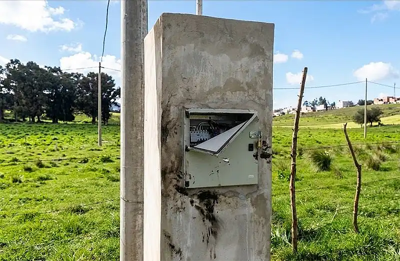 El Municipio condena actos de vandalismo en el Paseo de las Flores