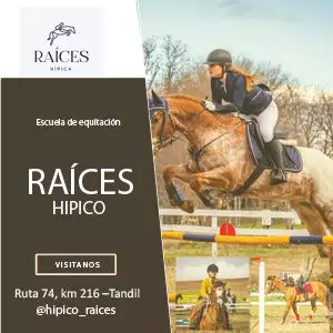 CENTRO HÍPICO RAÍCES - Escuela de equitación 