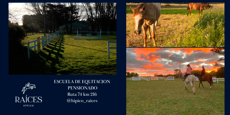 CENTRO HÍPICO RAÍCES - Escuela de equitación